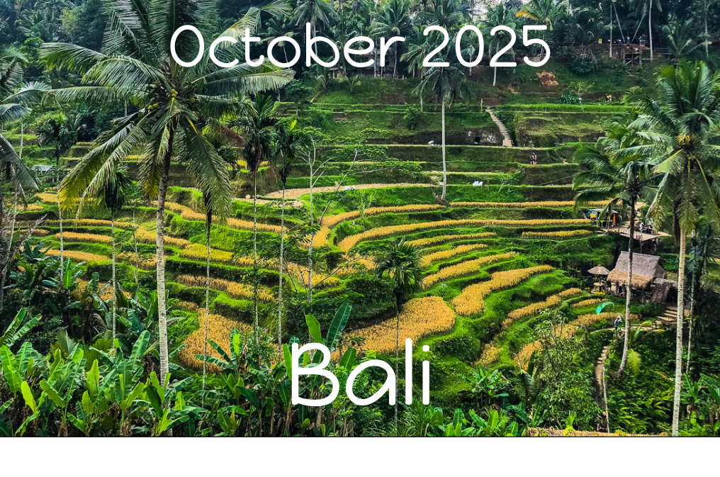 RAWRA Bali 2025