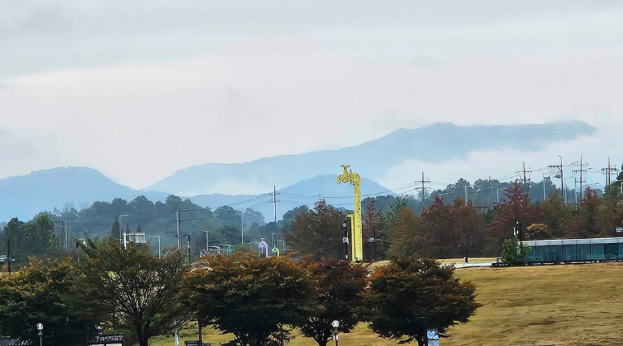 Views from Dora Observatory on our private DMZ Tour